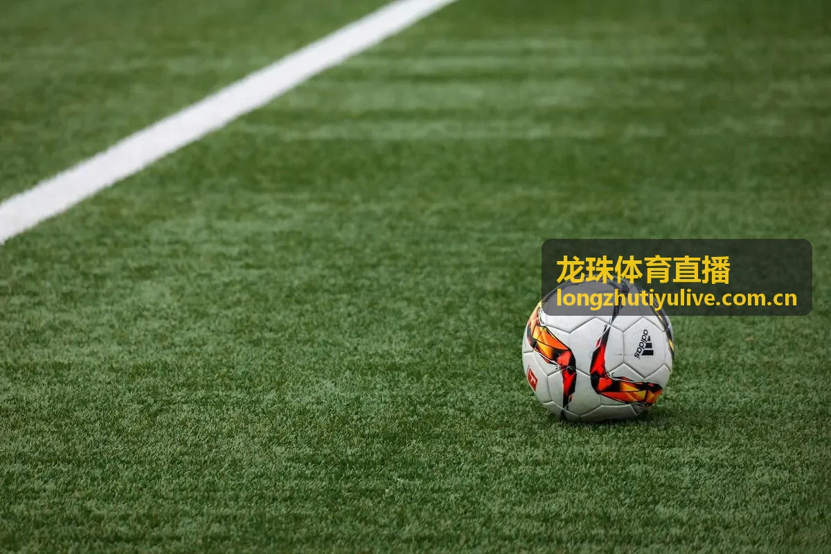 龙珠体育直播CBA联赛资讯封面