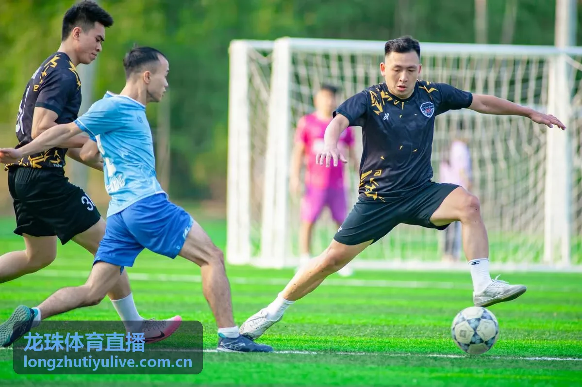 龙珠体育直播欧冠赛事封面